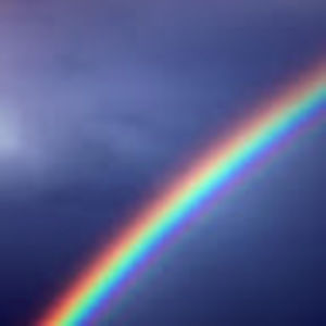 Meet your Posher, Nataly